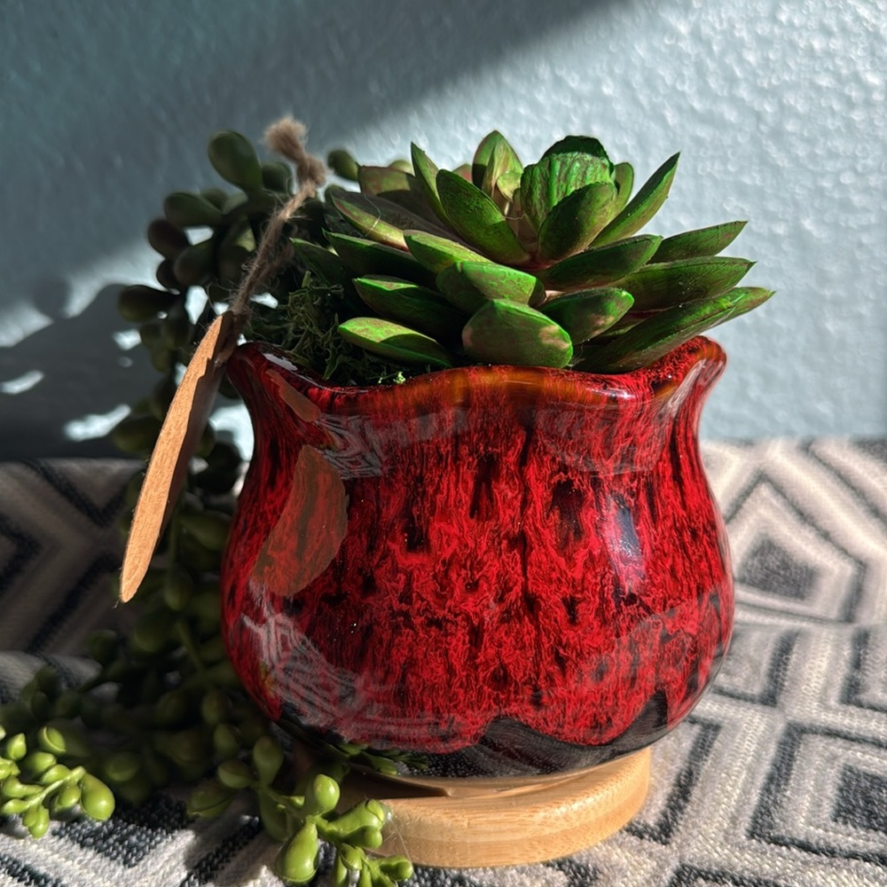 Artificial Succulents in a Red Glazed Pot ❤️